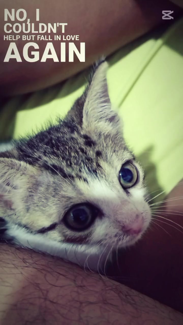 @. _°ariza°_.