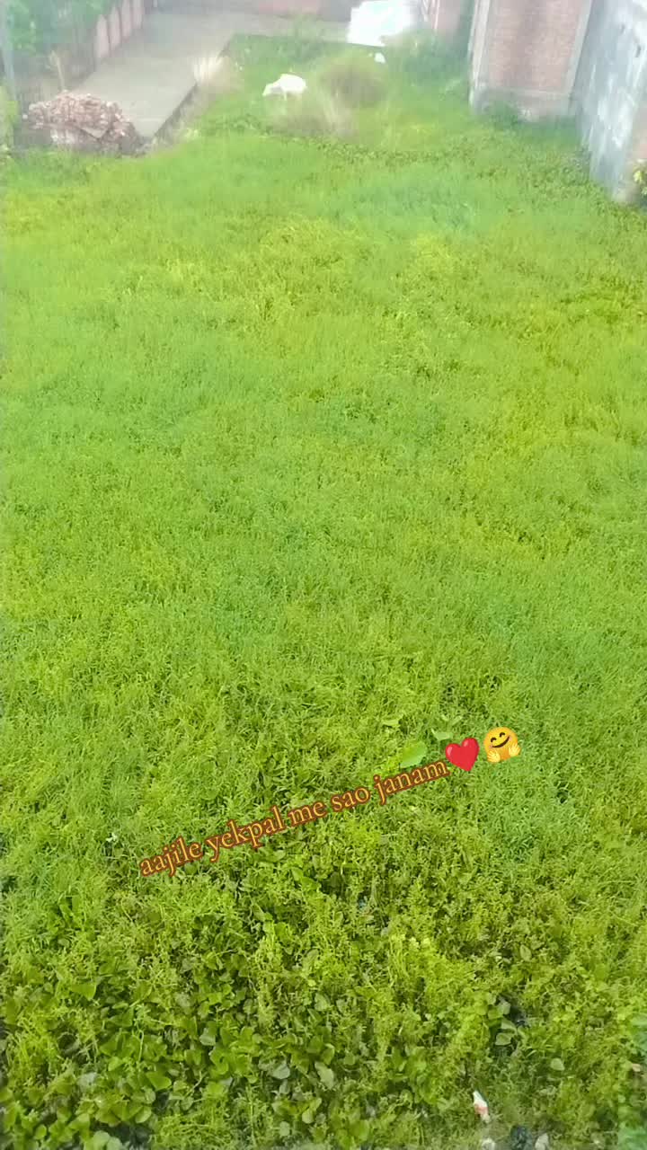 @Krisiwani