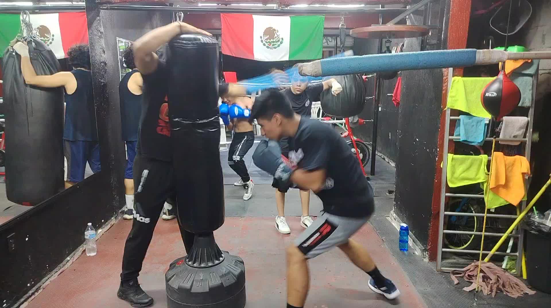 @Carreras Boxing Master