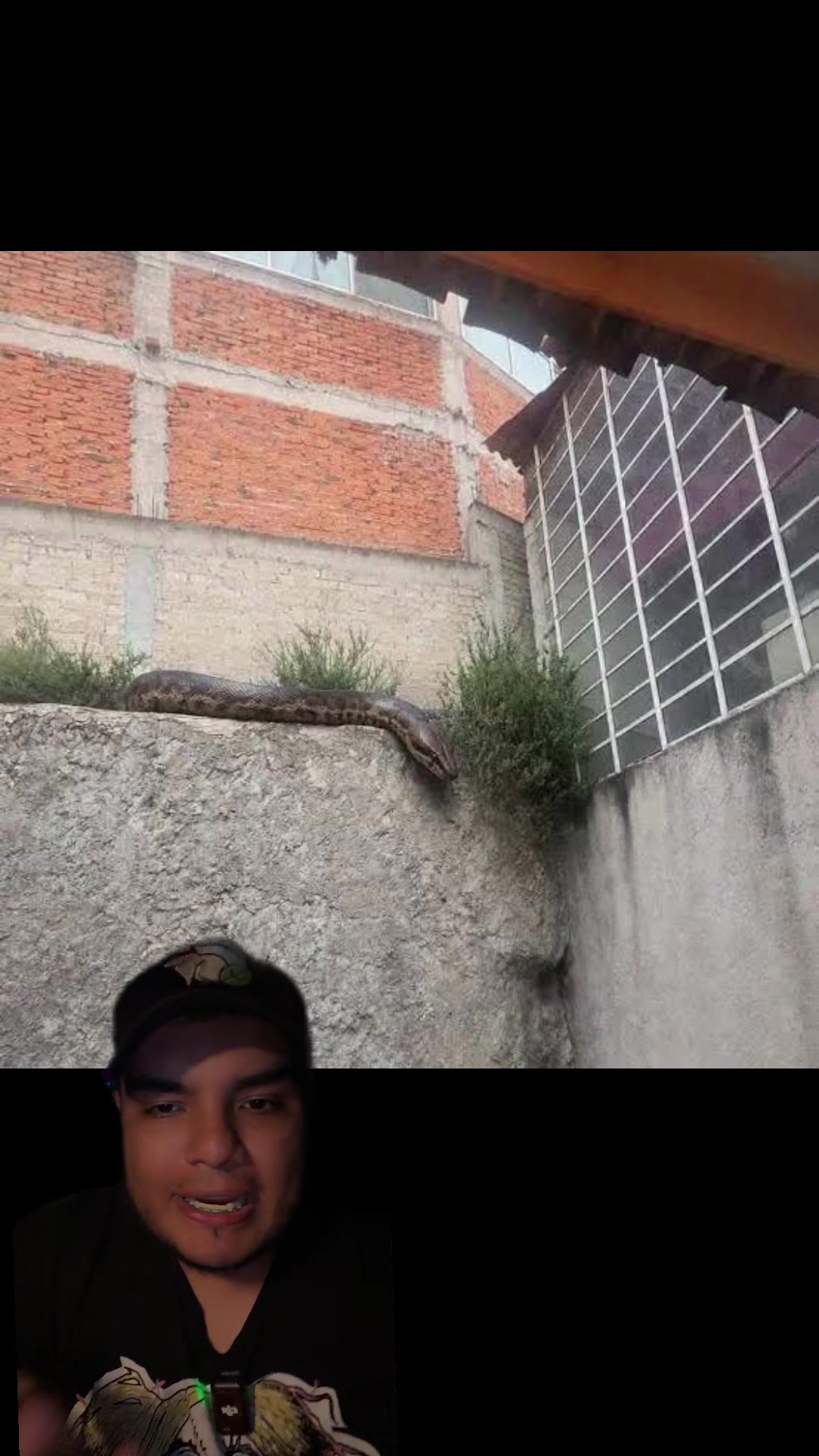 @Jair Herrera 🐆