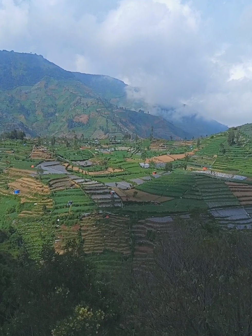 @jaka swara