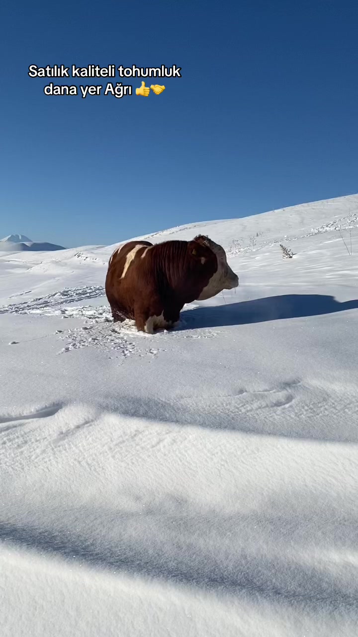 @yusuf yıldırım 04