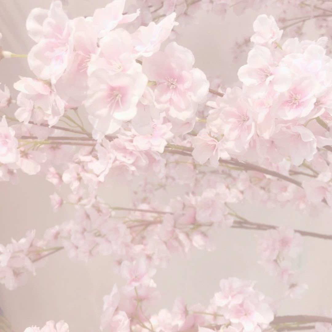 @𝜗ৎ 🍓Nιᥴ᥆ᥣᥣᥲ᥉ Vᥲᥣᥣᥱᥒtιᥒ