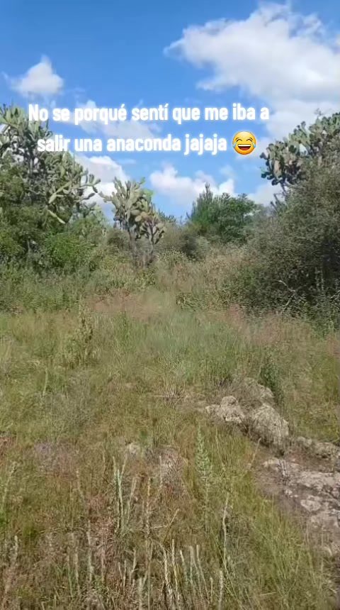 @🇸🇨☠️🇲🇽Yaŋë Ŷ Dîâbłø N.⚔️☠️