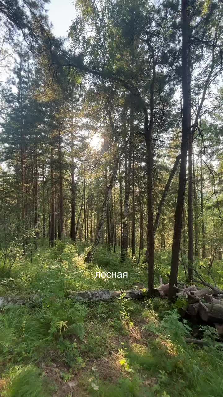 @꧁꧂
