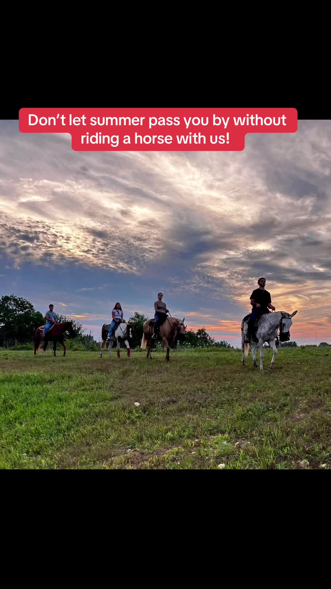 @Millbrook Trail Rides