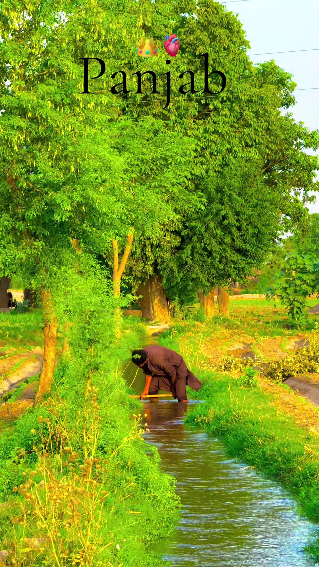 @پنجابی کلچر 🌾🍂
