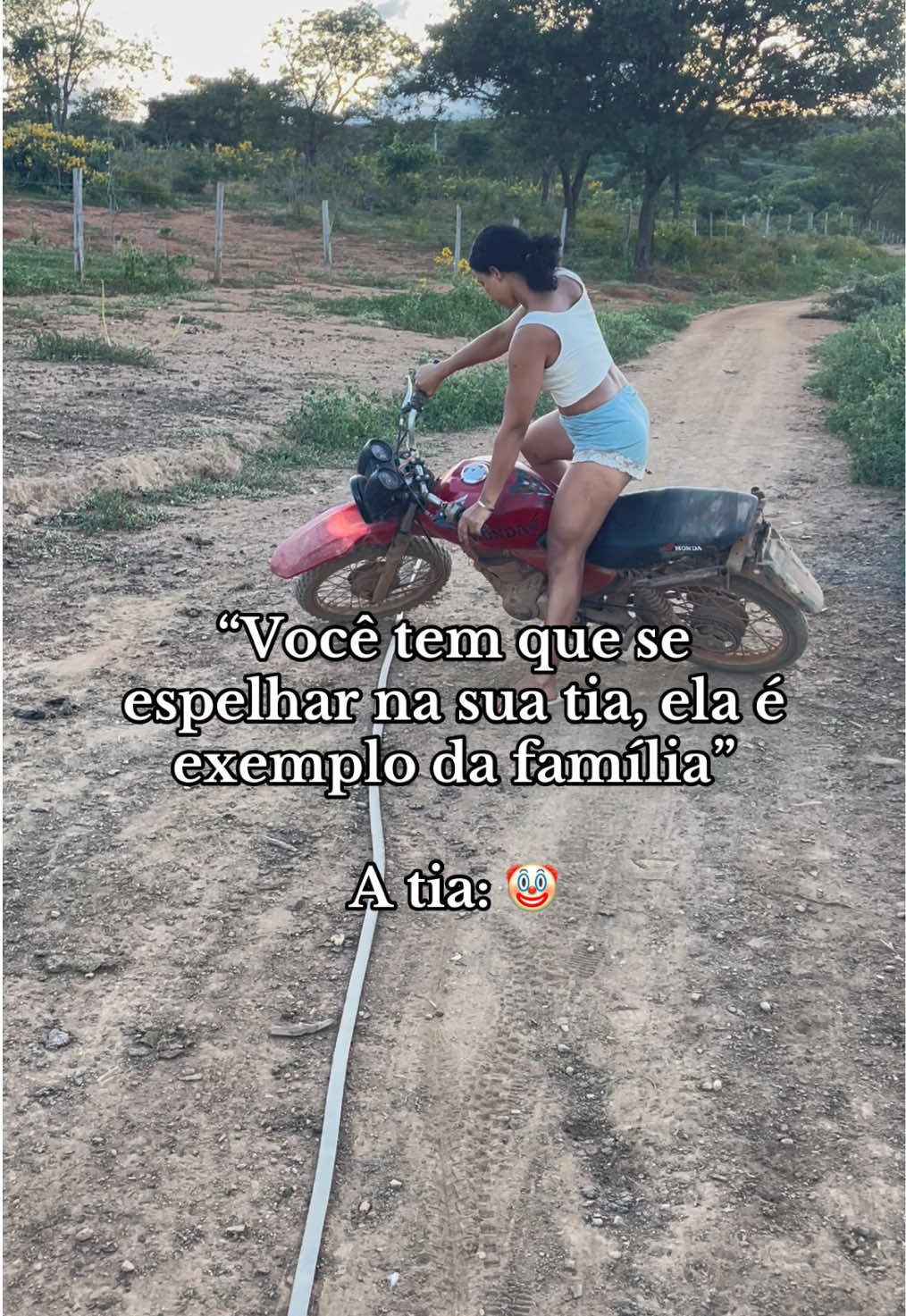 @monicadejatoba