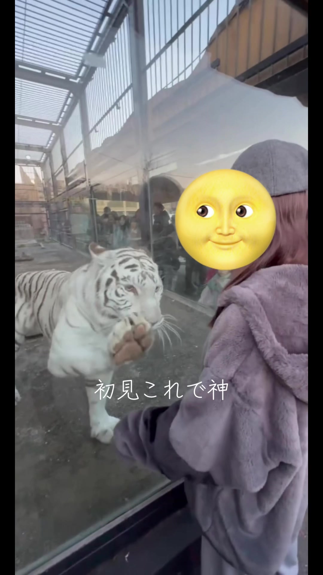 @国木田さりまる