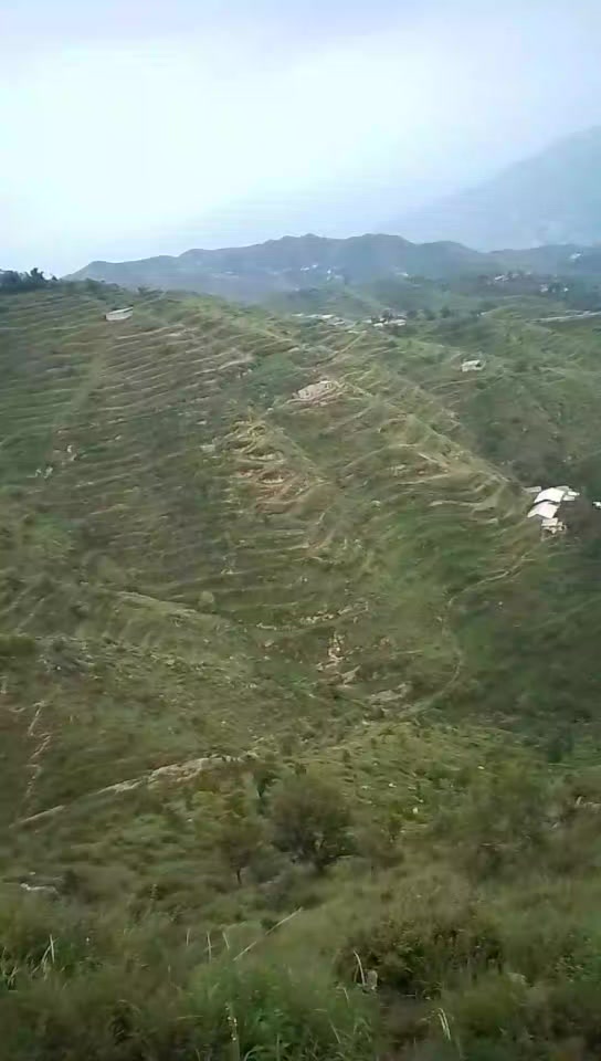@fawad khàn