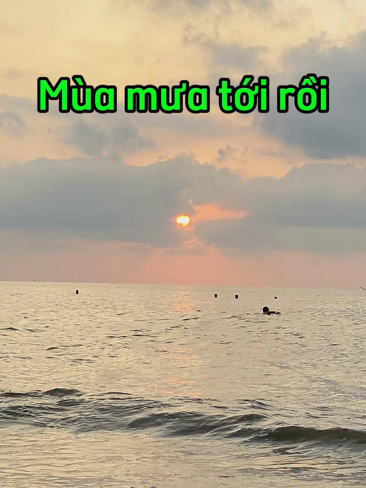 @Phụ kiện &ocirc; t&ocirc; Ho&agrave;ng B&aacute;ch