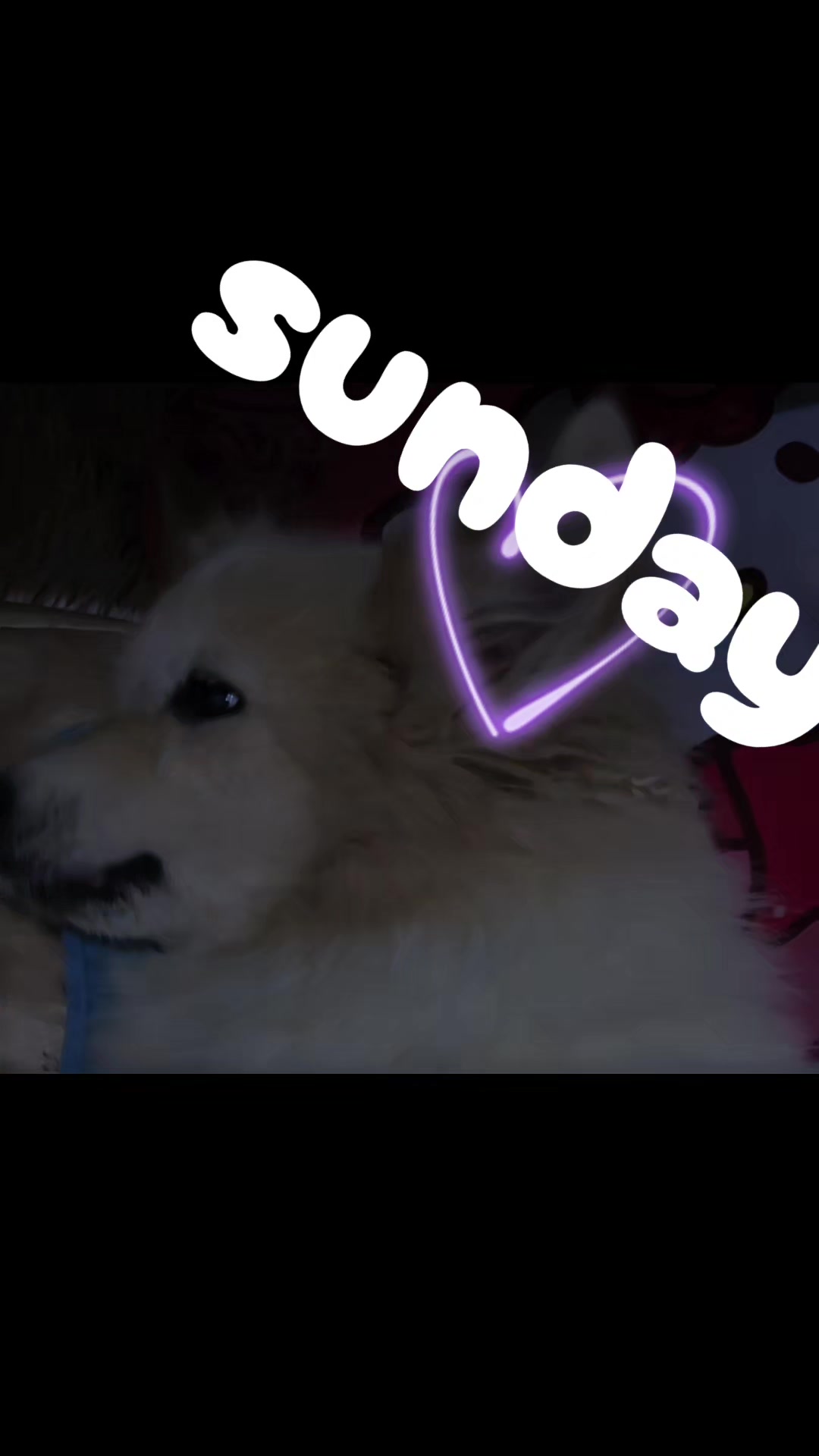 @💕𝓙𝓪𝓷𝓲𝓬𝓮💕