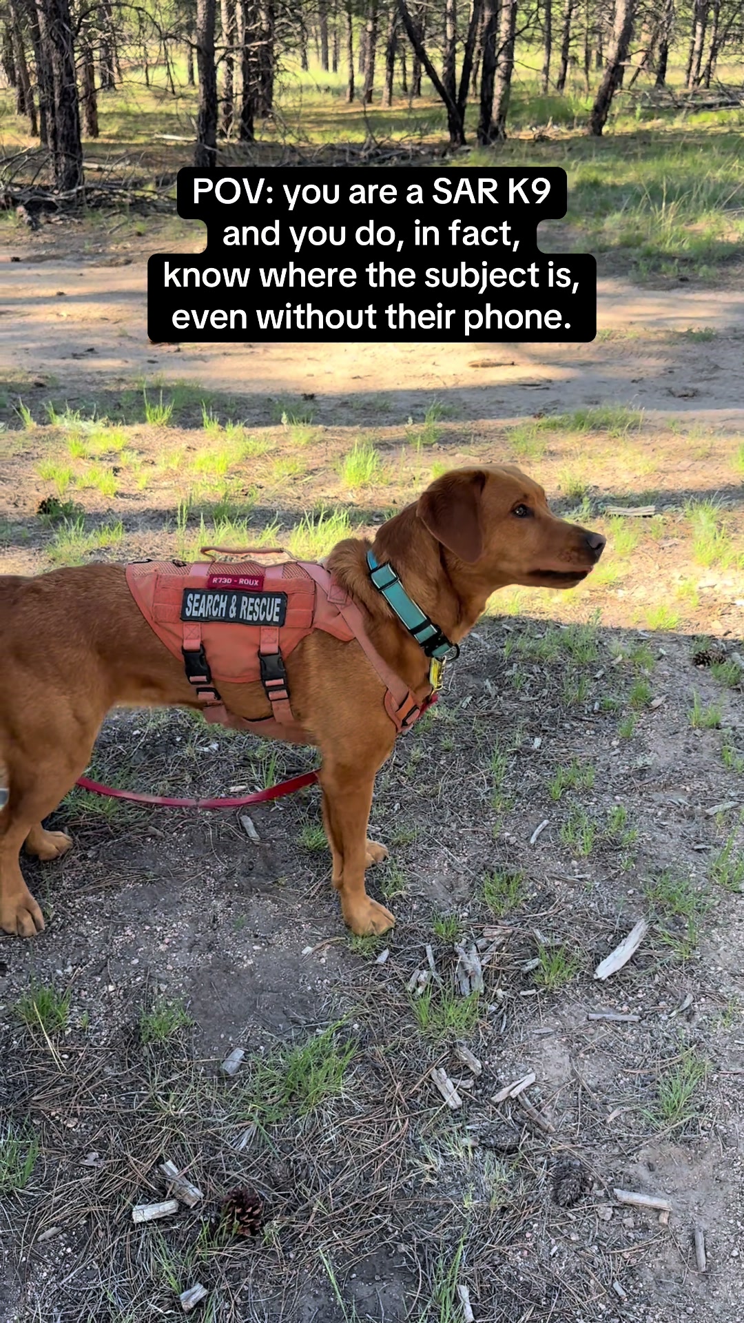 @El Paso County Search & Rescue