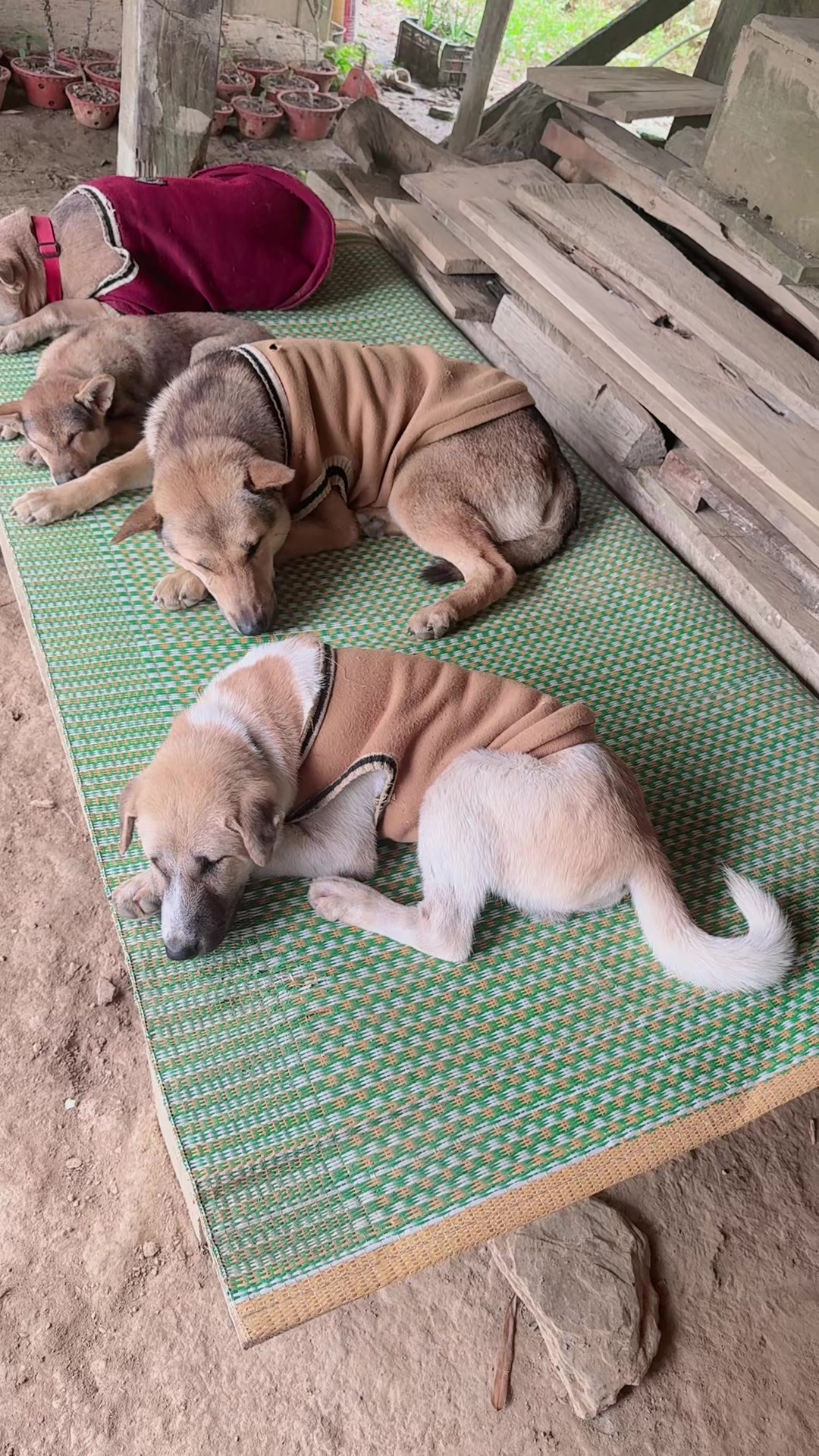 @H&agrave; Thị Mu&ocirc;n
