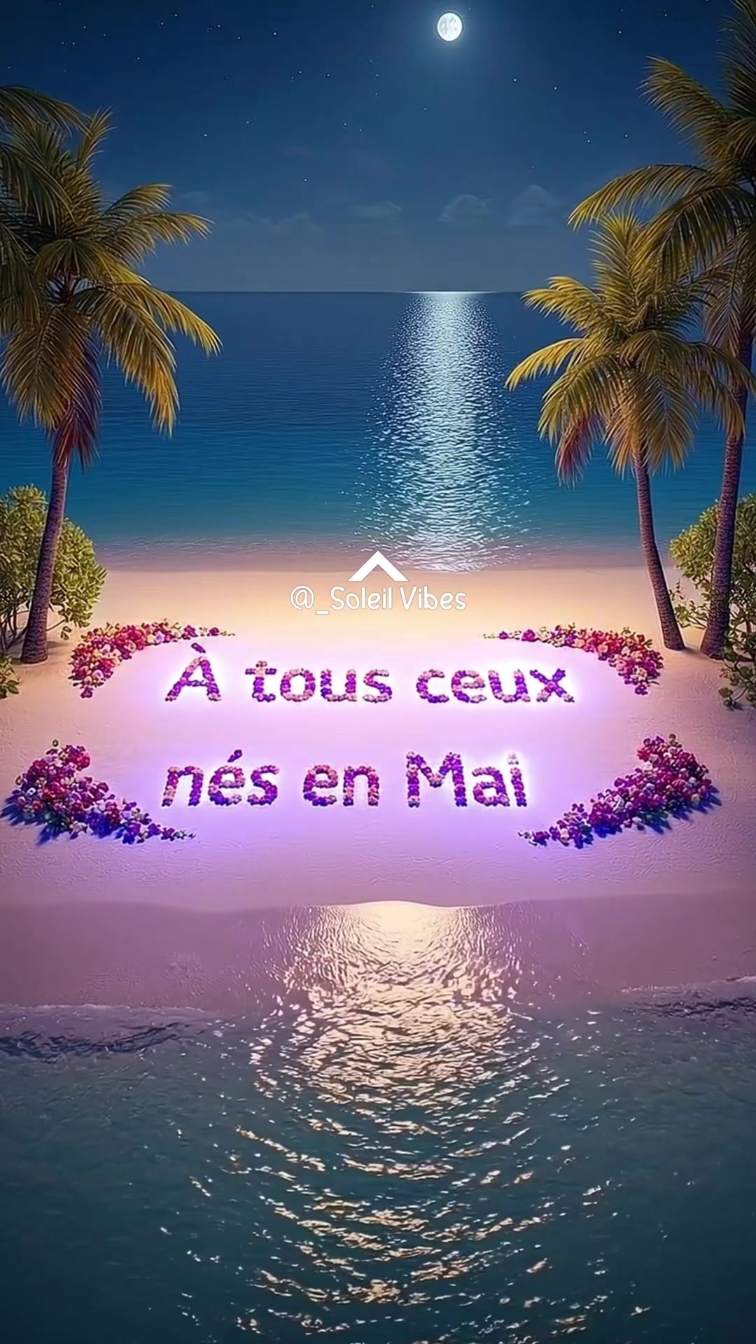 @Soleil Vibes