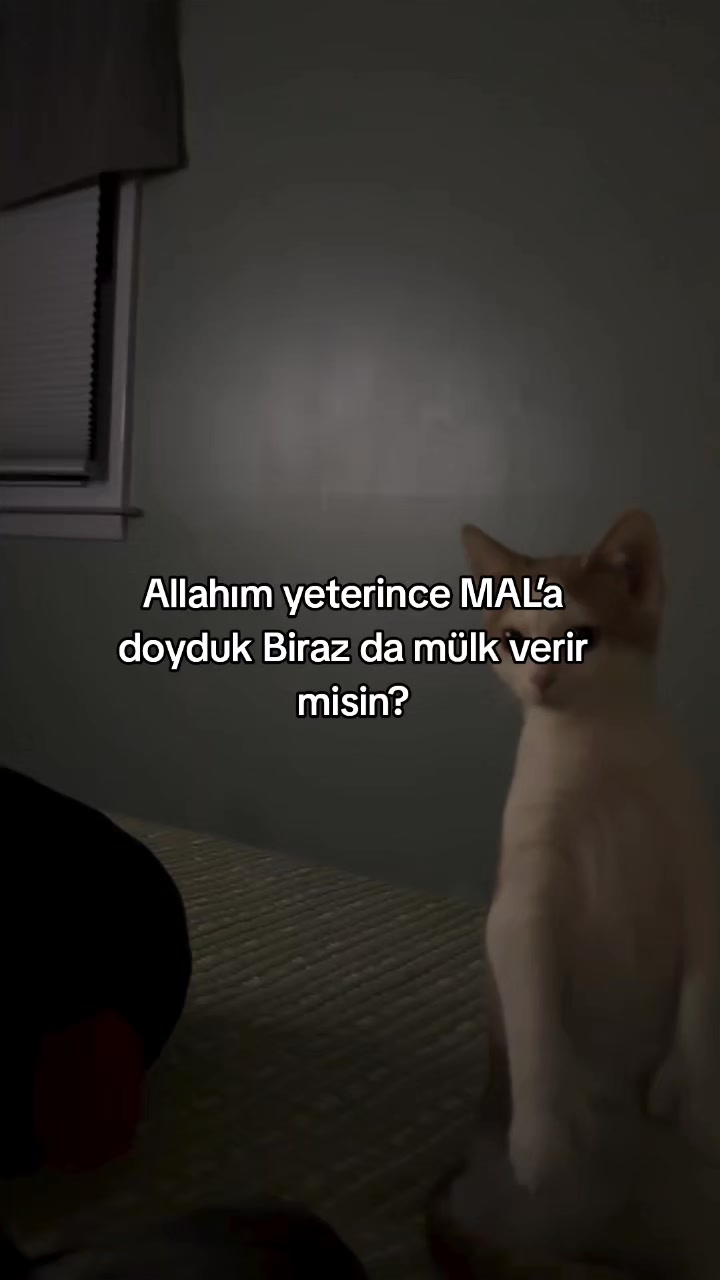@rolland