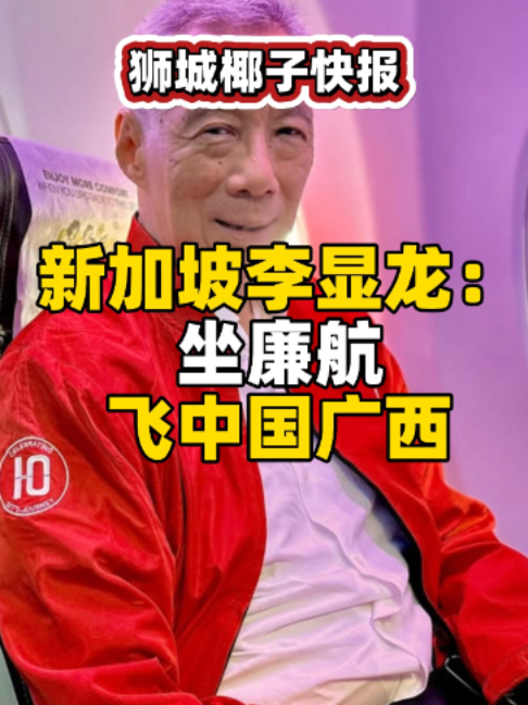 @新加坡狮城椰子
