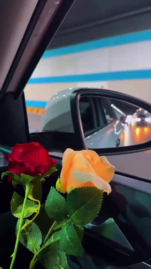 @musaetin428