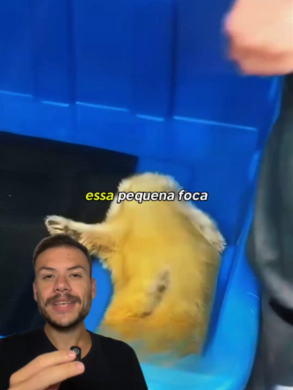 @Gabriel Garcia