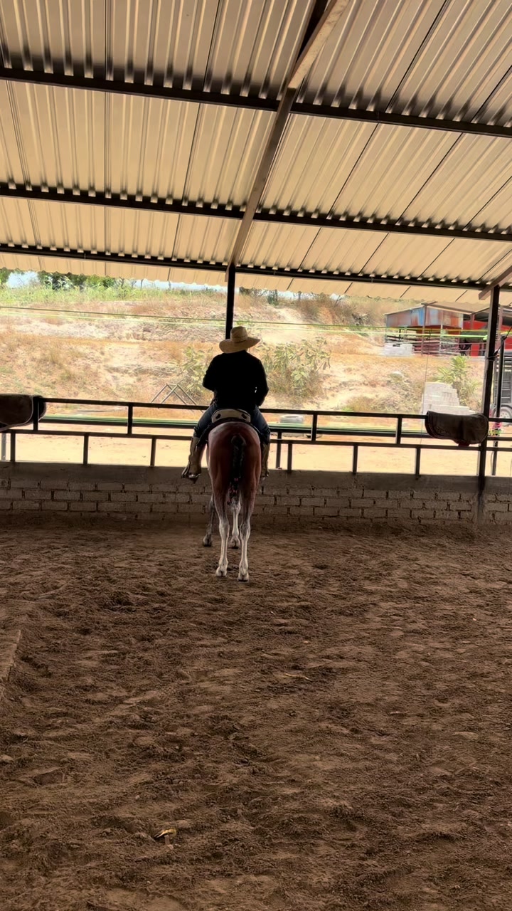 @José Fonseca