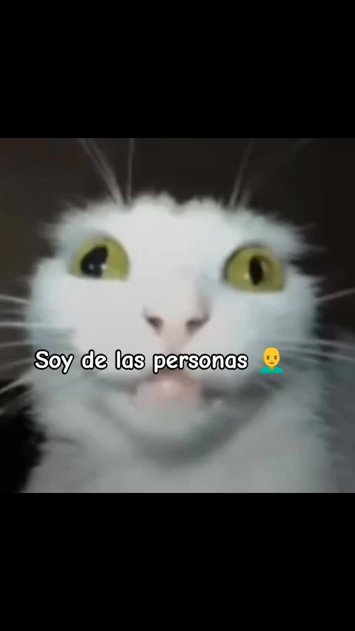 @larataxd