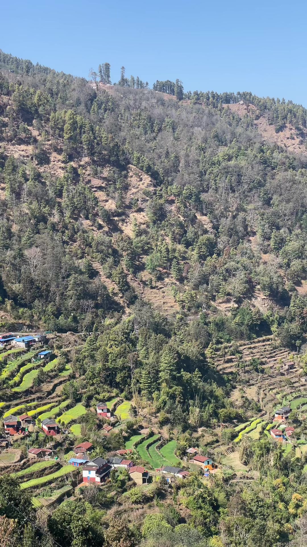 @Prithivi Aryal