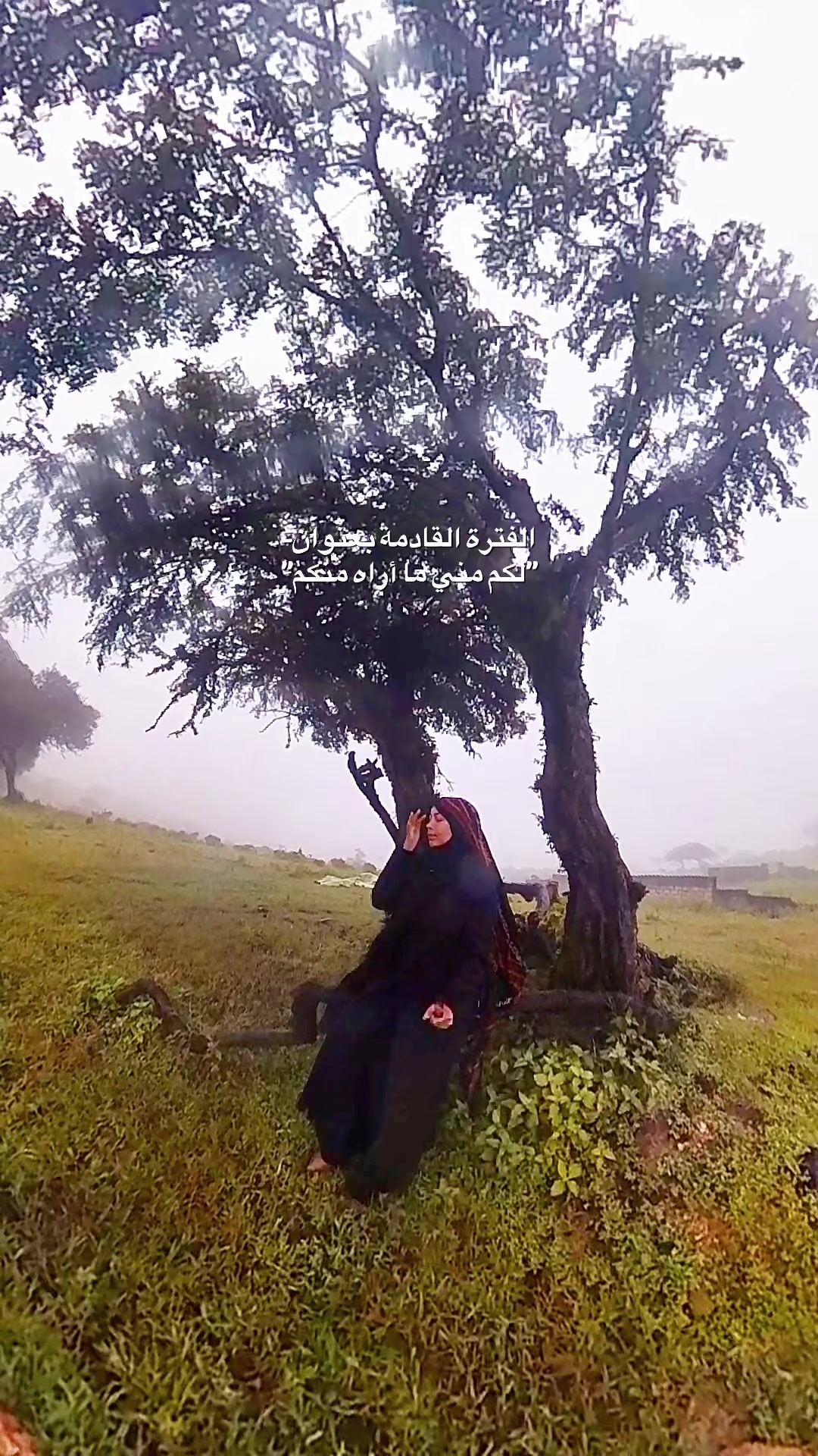 @Wafaa