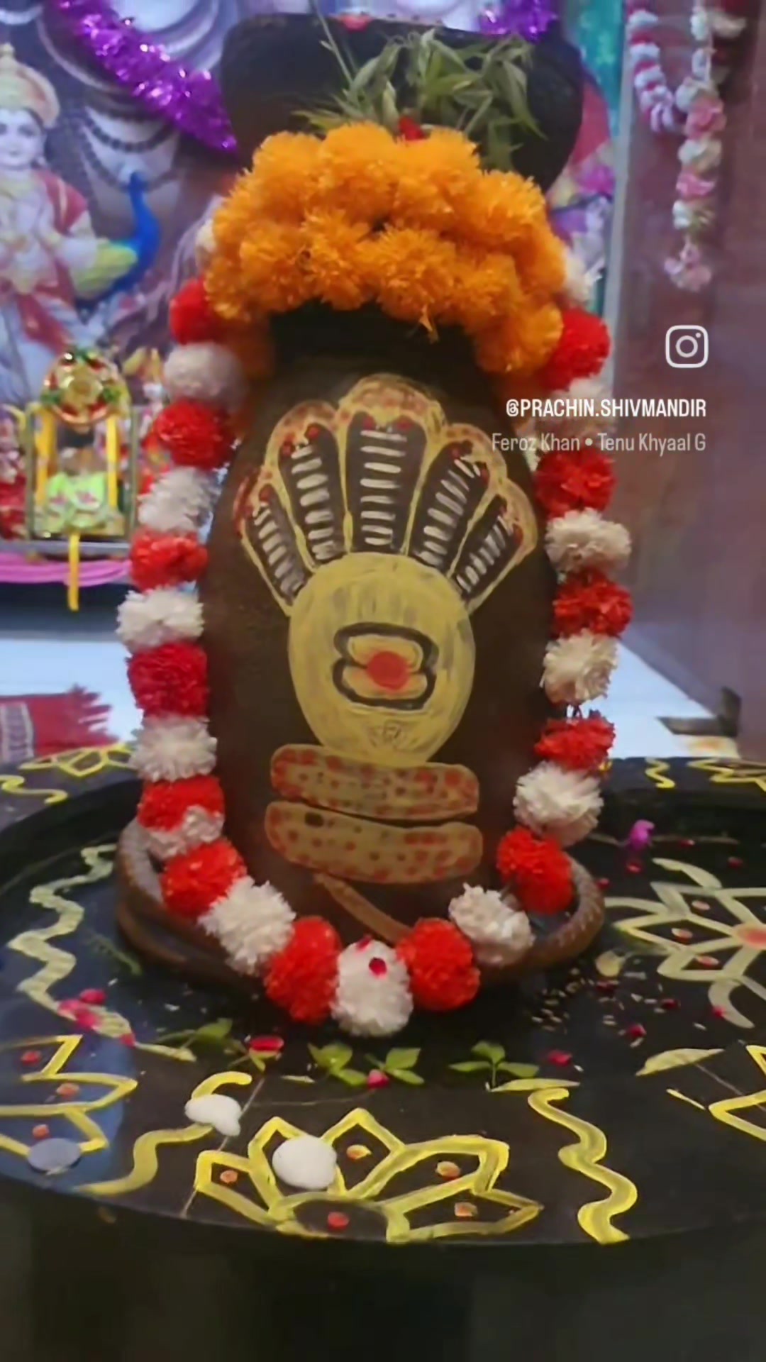 @teji_shahzadpuri