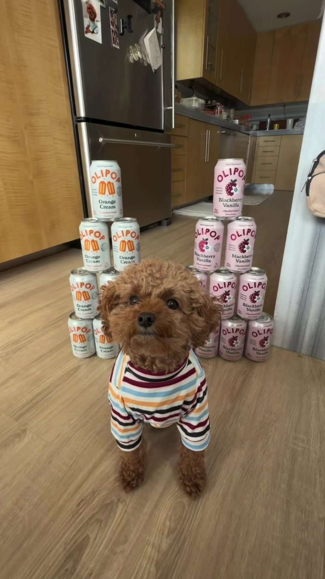 @enzoprincethepup