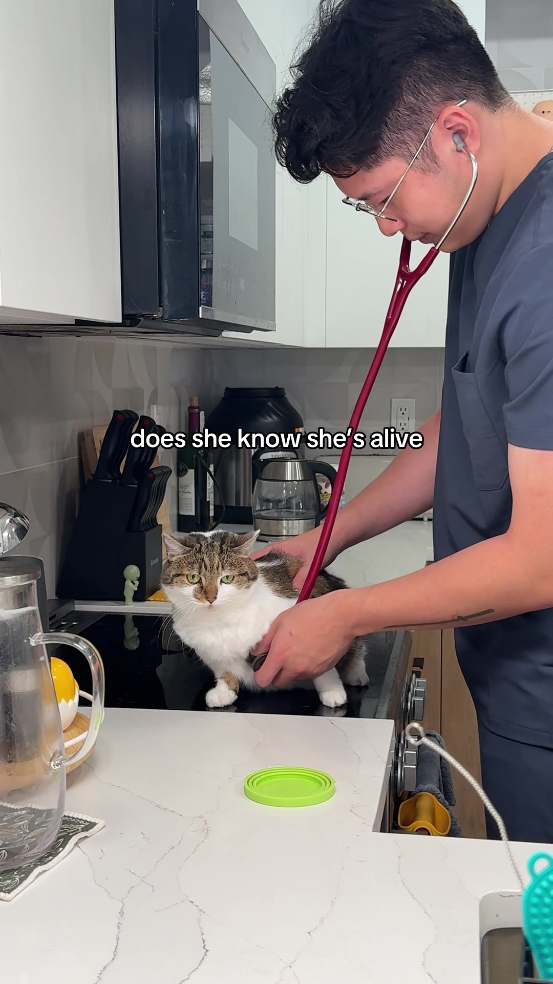 @Suki Purrs