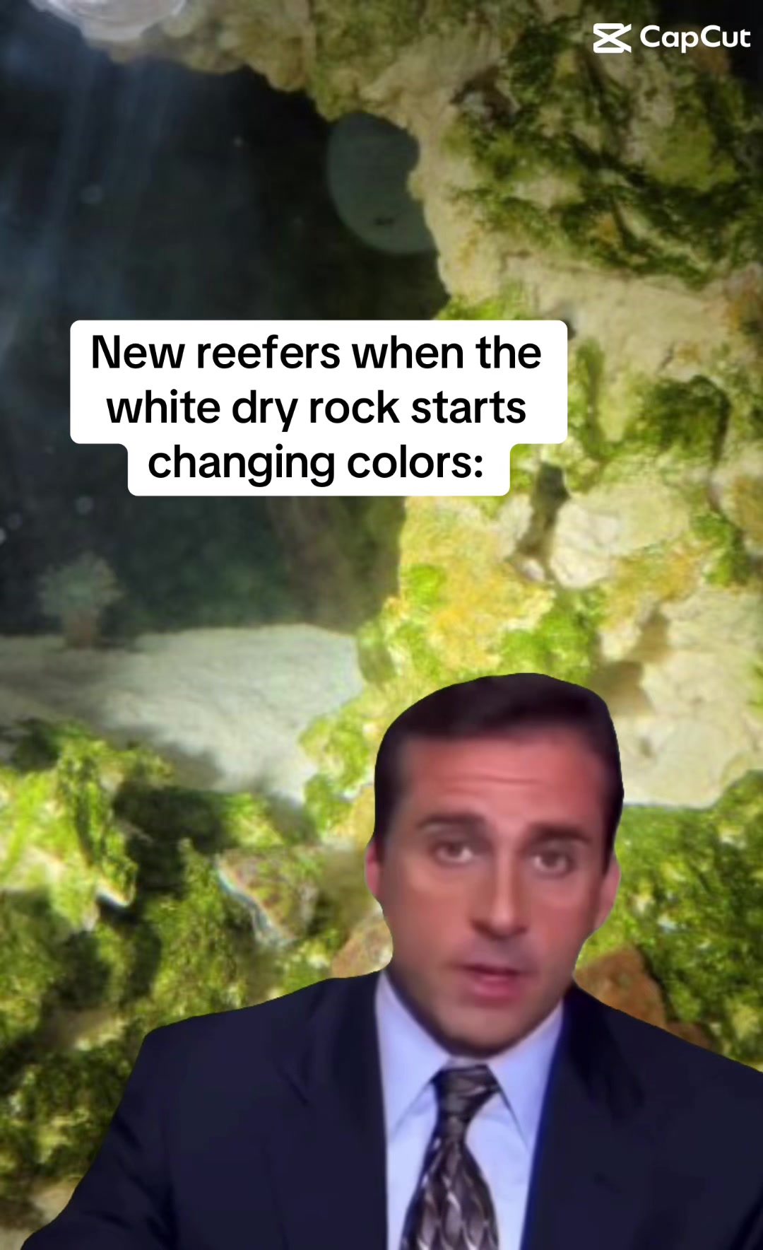 @ReefTok