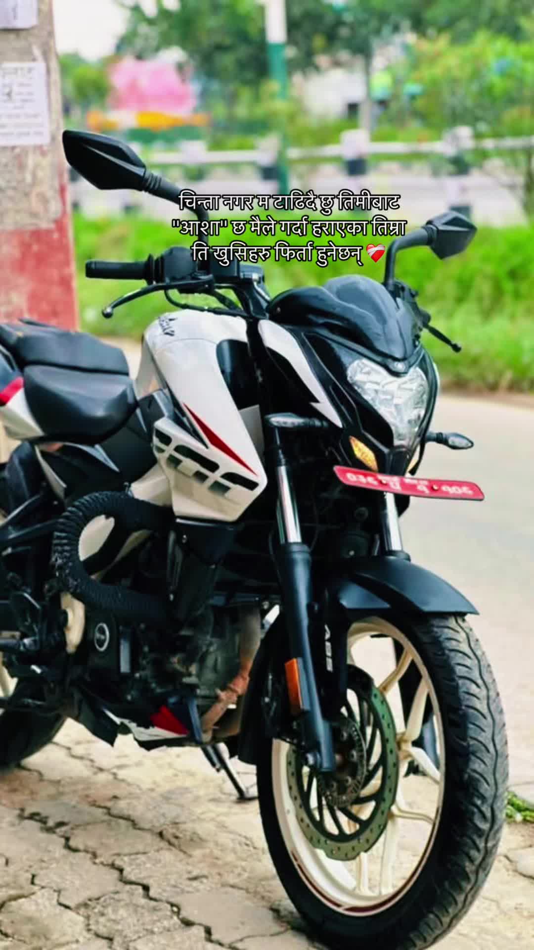 @🇵🇸सुजन लिम्बु.₂𝟶➎ᶾ♡🇵🇸
