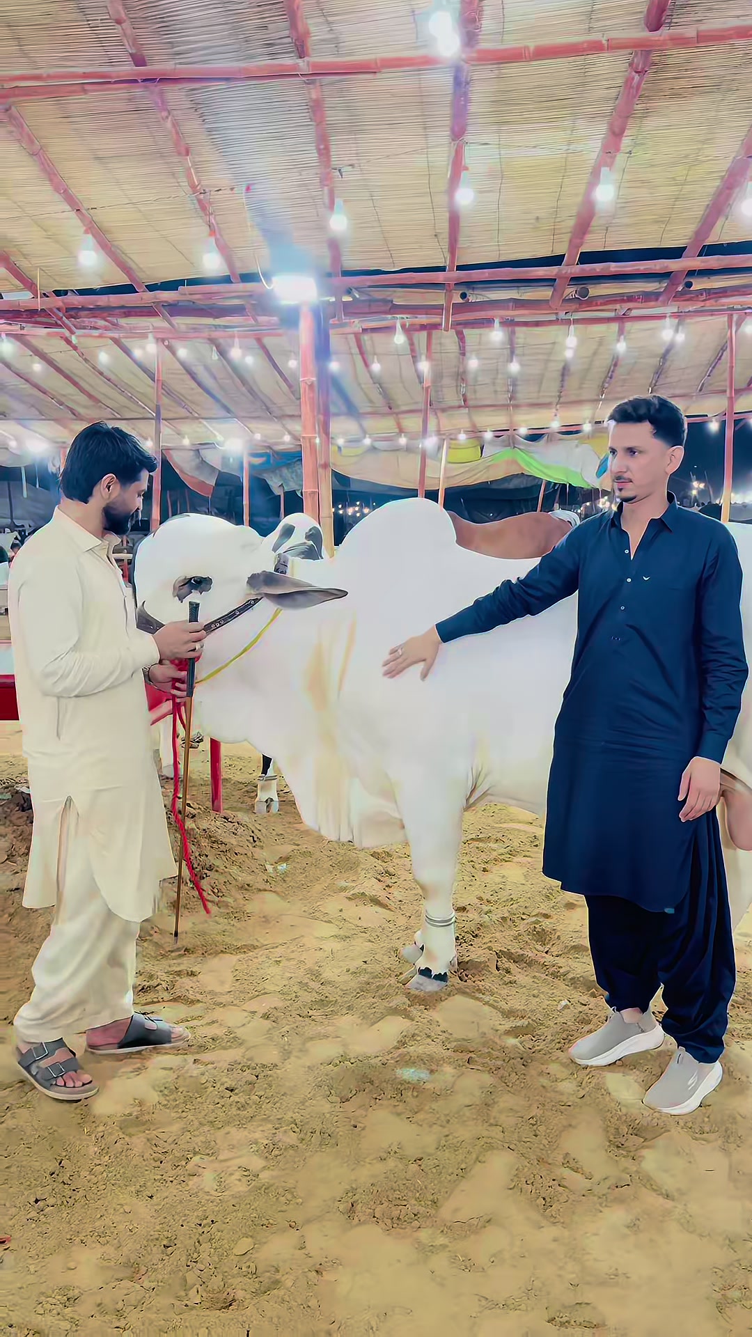 @Safdar اسٹٹچ🧵
