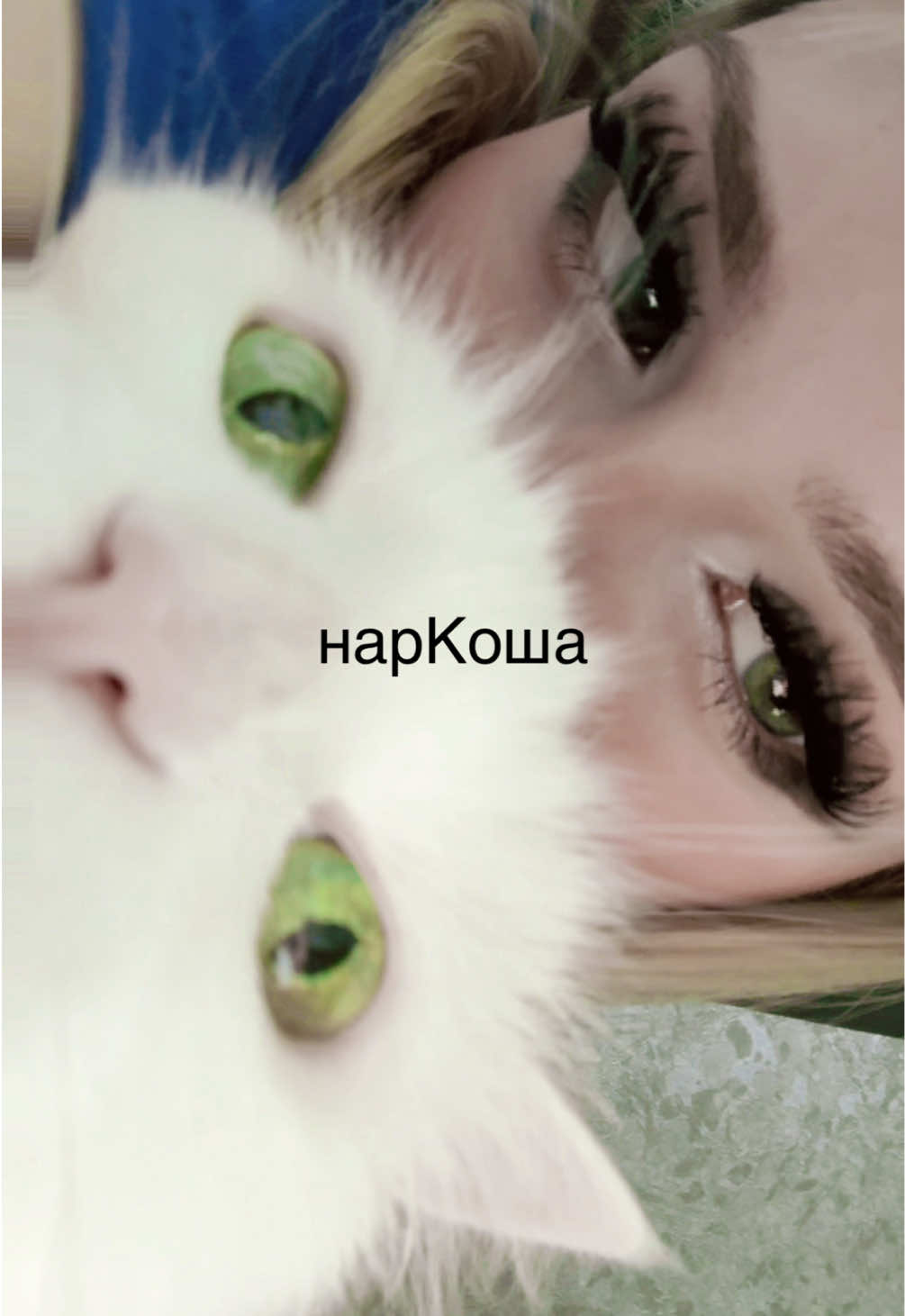 @tюtюn0k