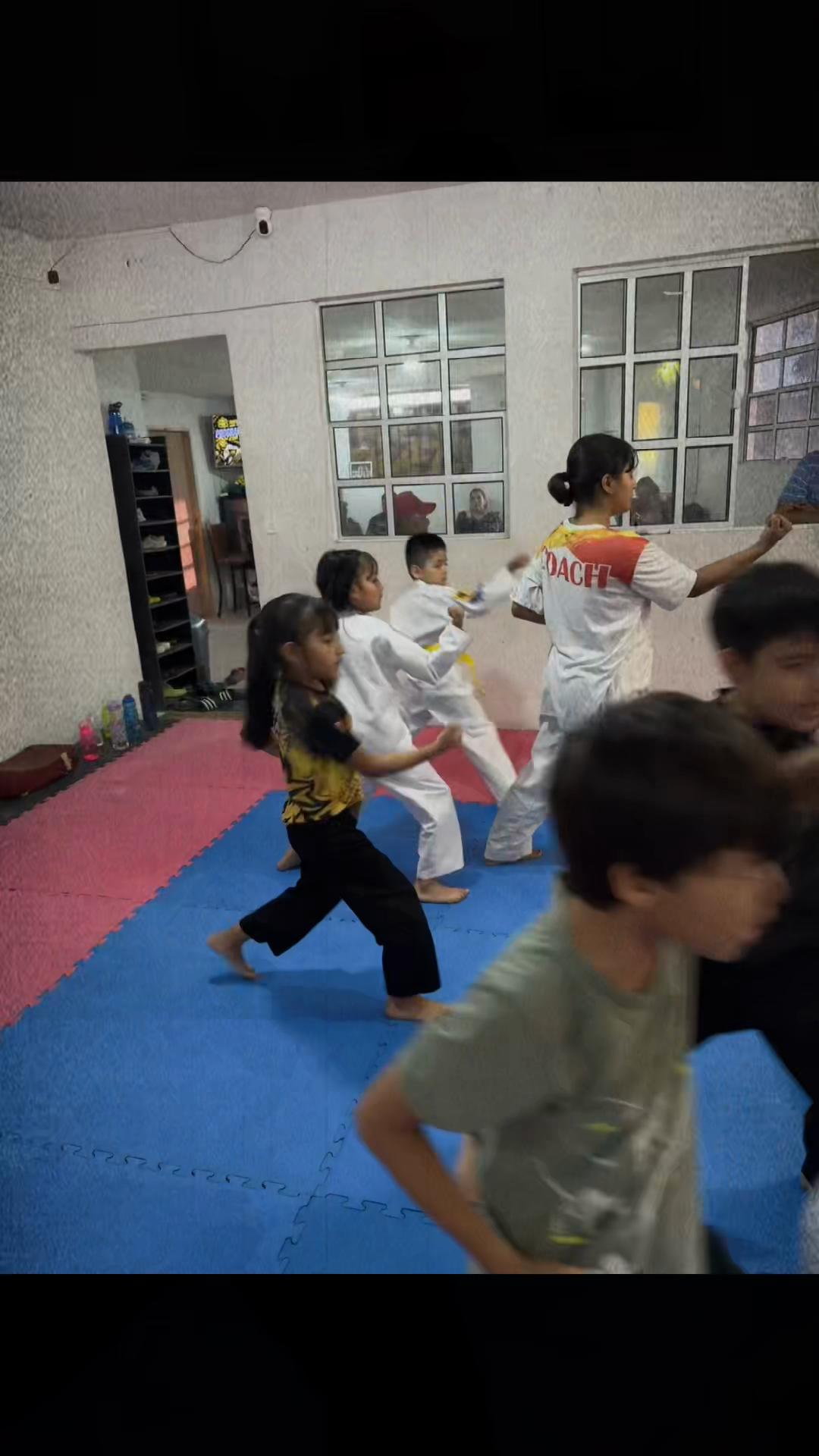 @taekwondolionsteam