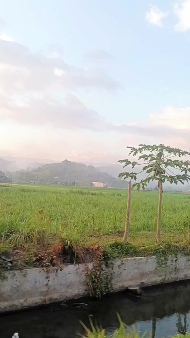 @JALUR LANGIT