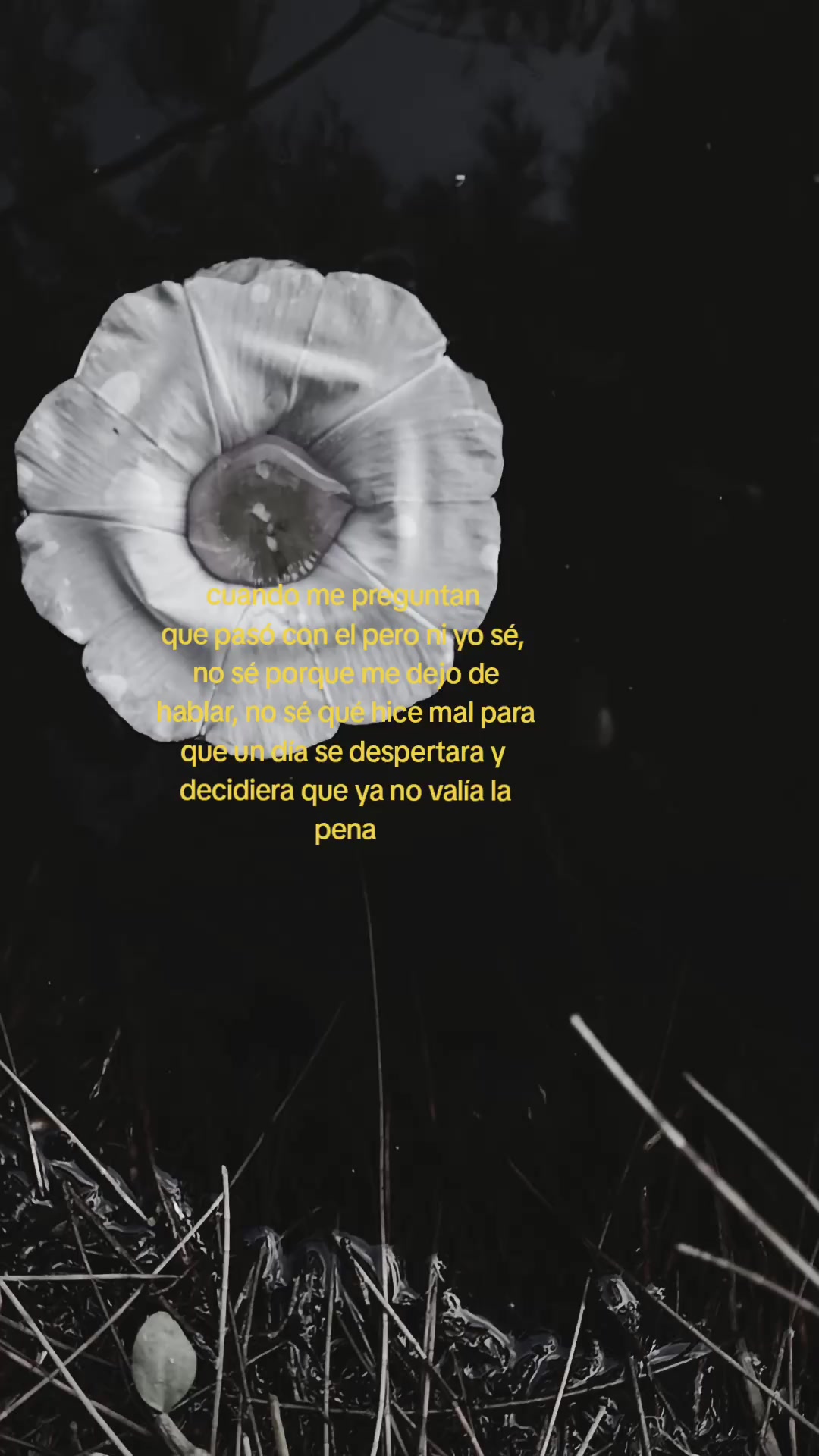 @𝙼𝚊𝚛𝚢𝚜💜.