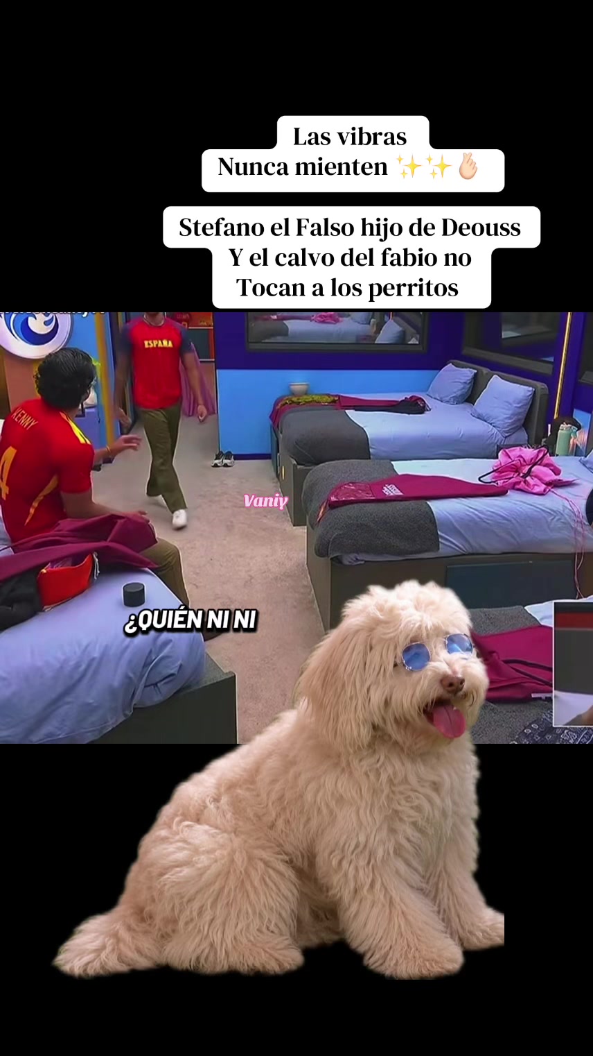 @Vaniy 🤍✨✨