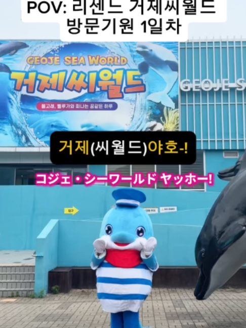 @DolphinTok