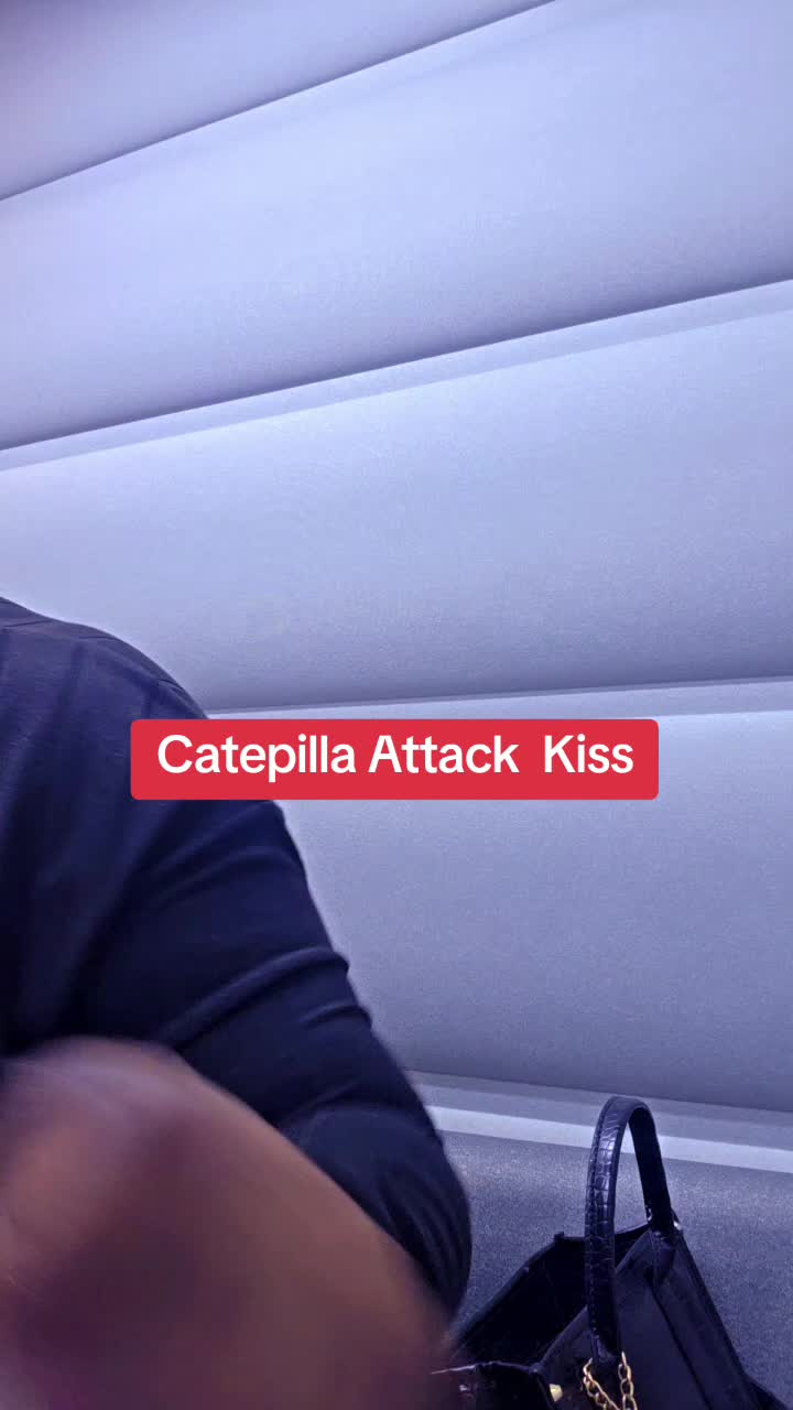 @BettaPikin
