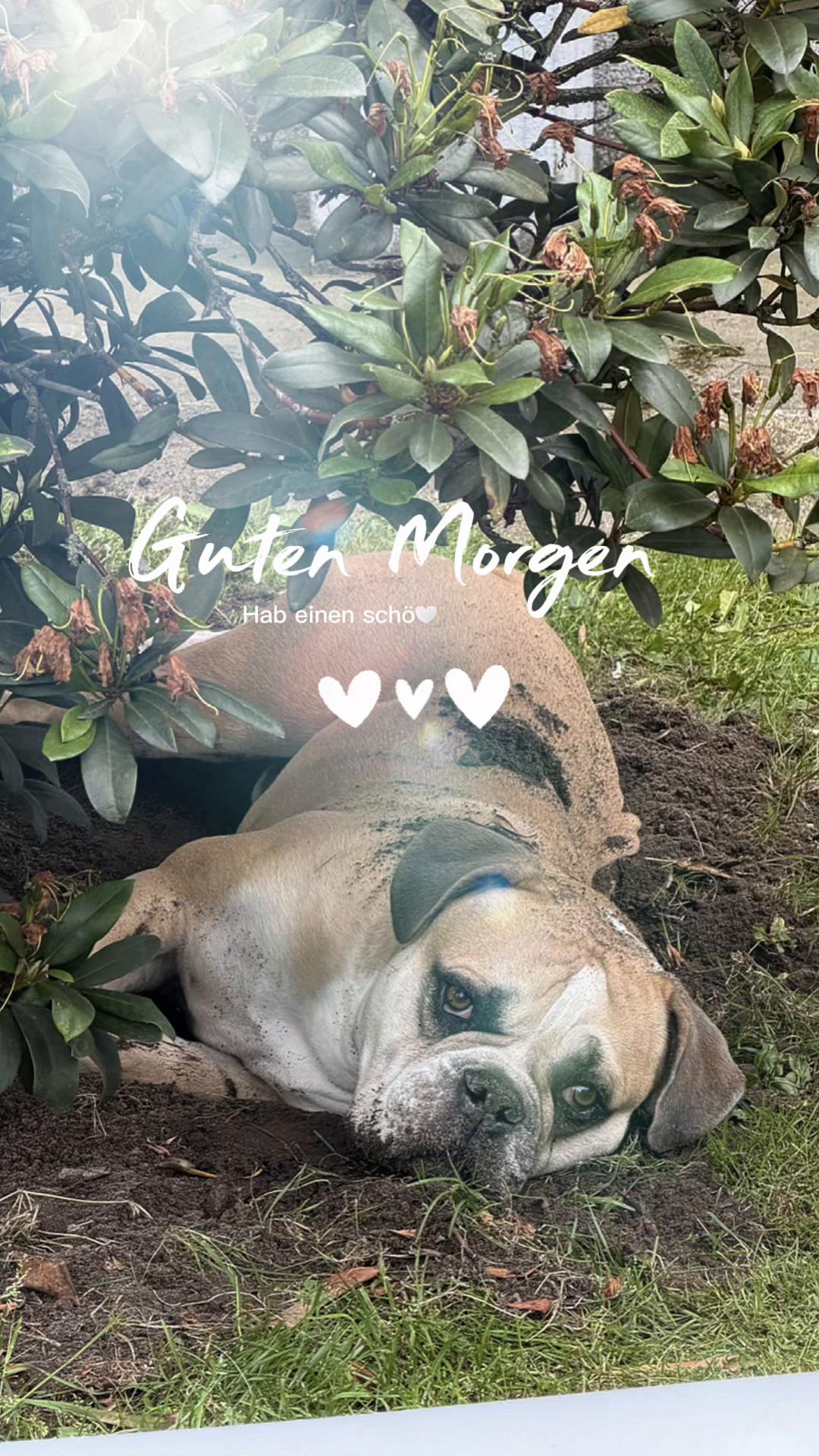 @Mogli🐾
