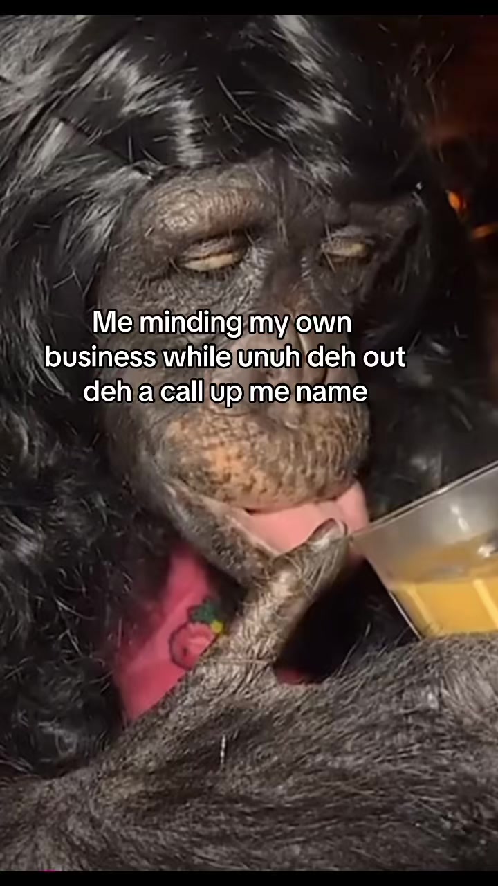 @Jay Jayy