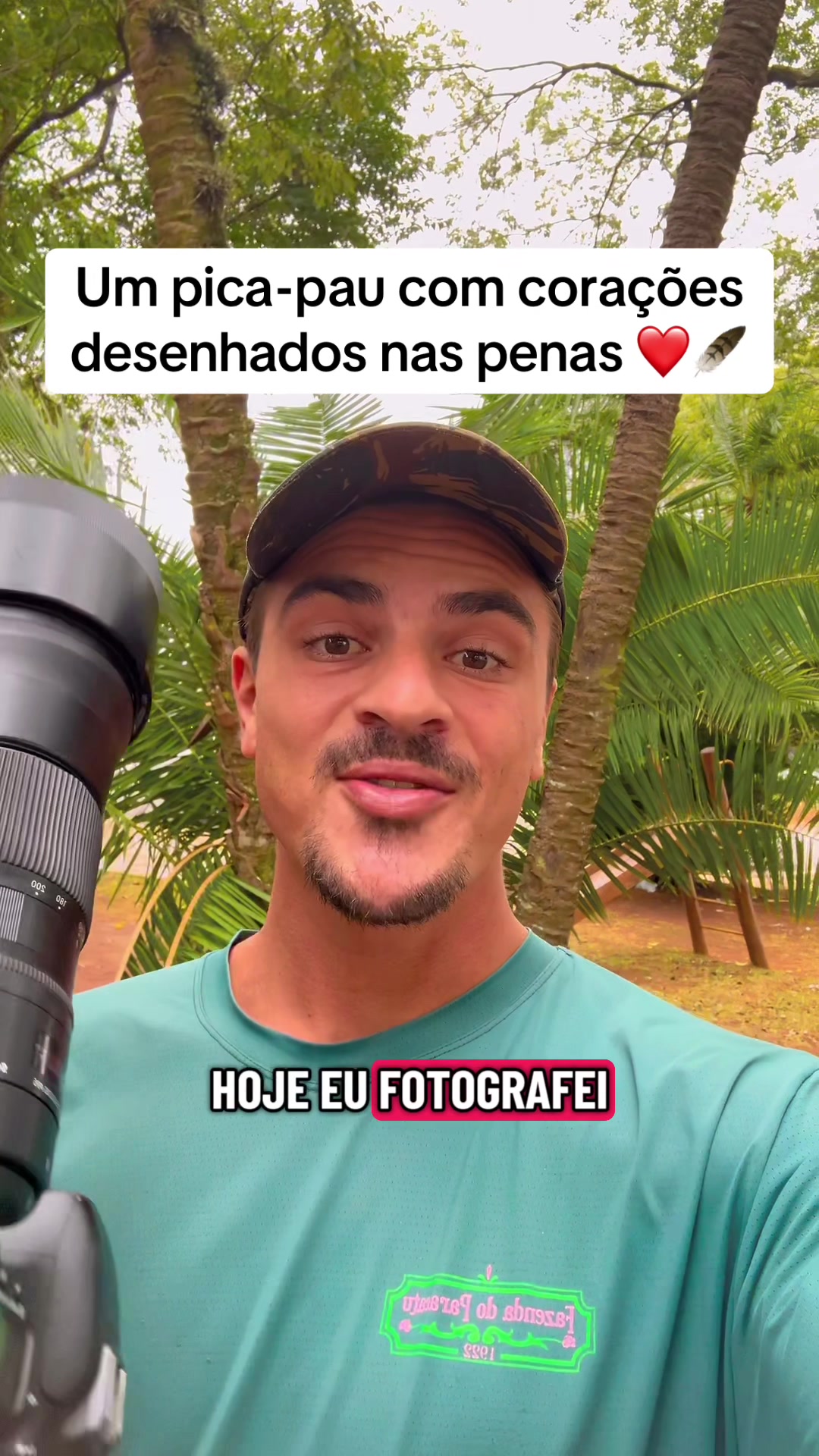 @Vinícius Köhn Pássaros