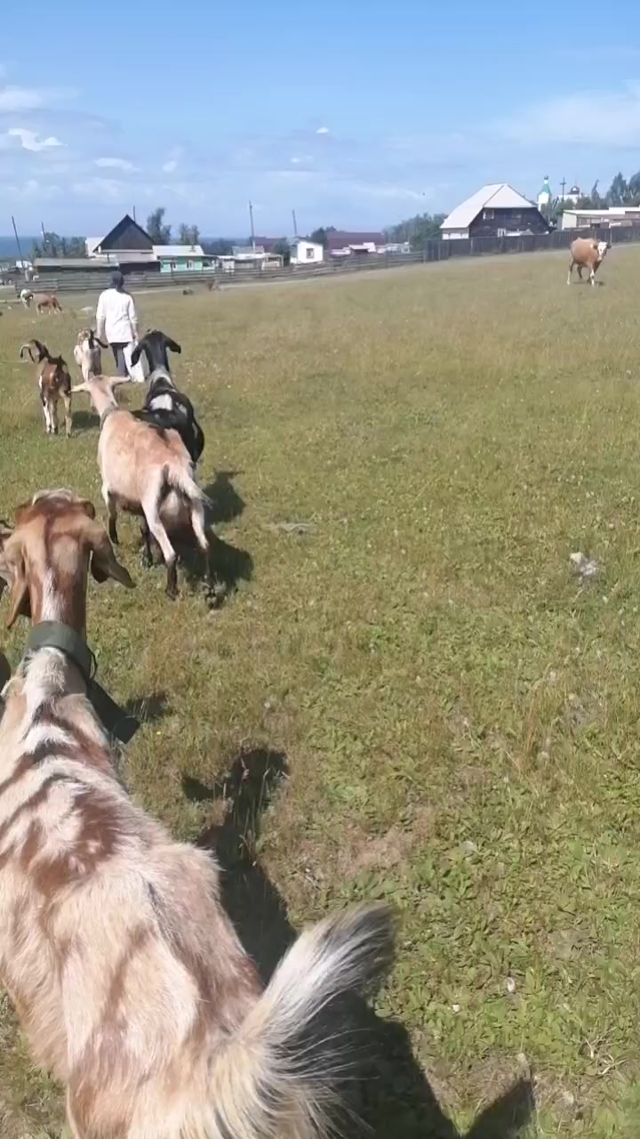 @Ольга03rus