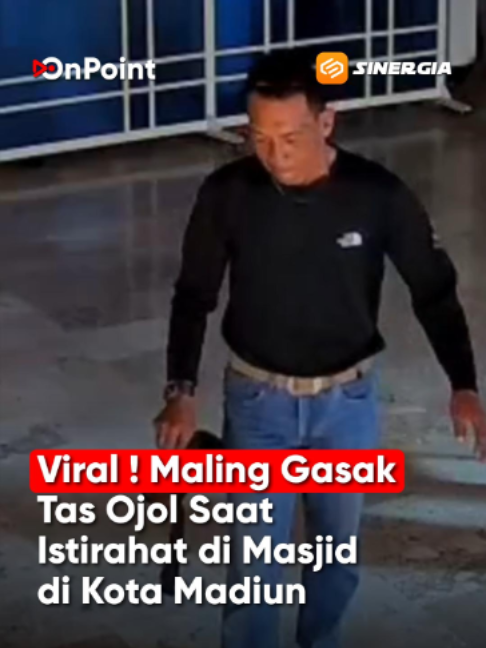@SINERGIA MEDIATAMA