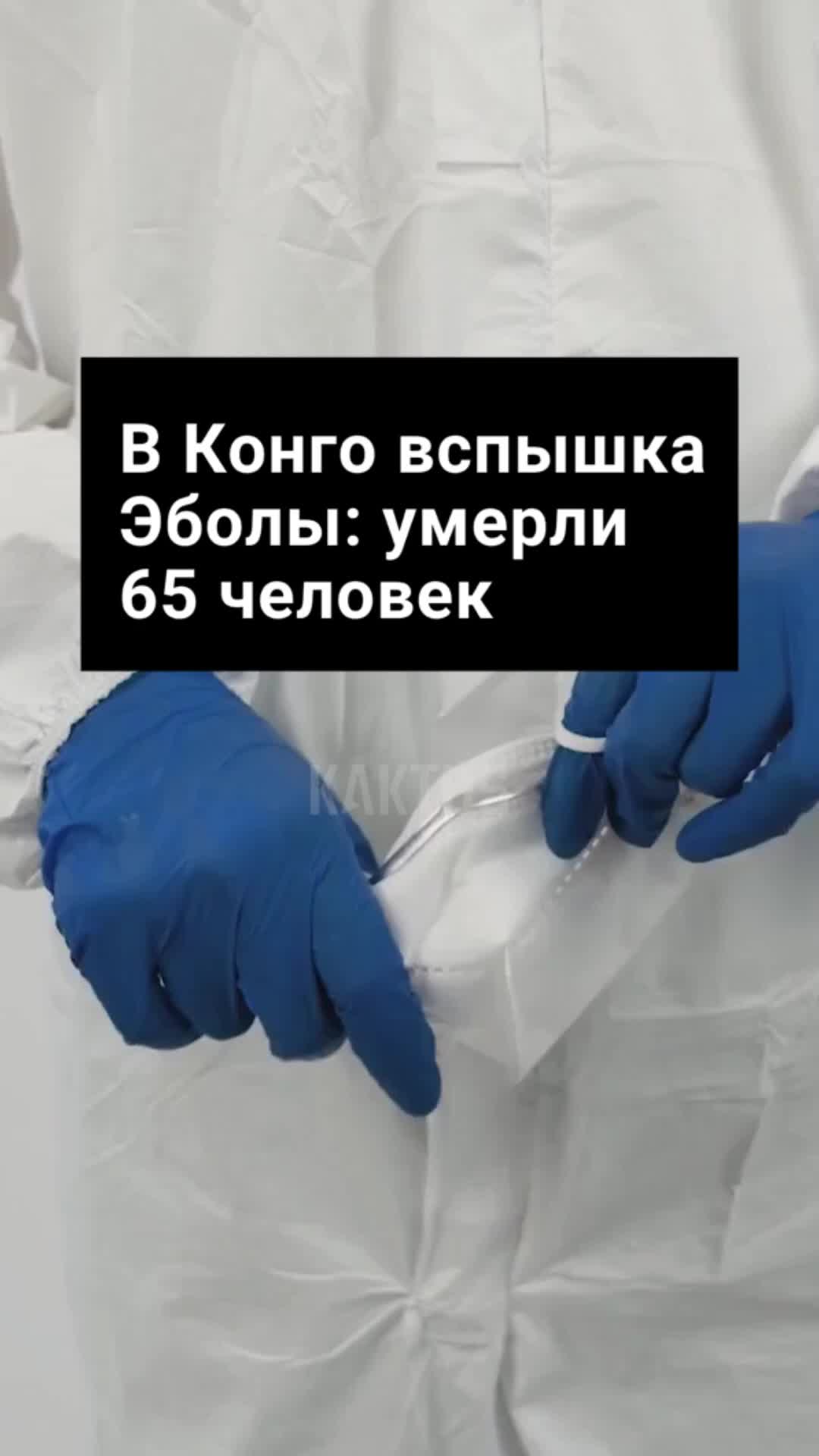 @Kaktus.media
