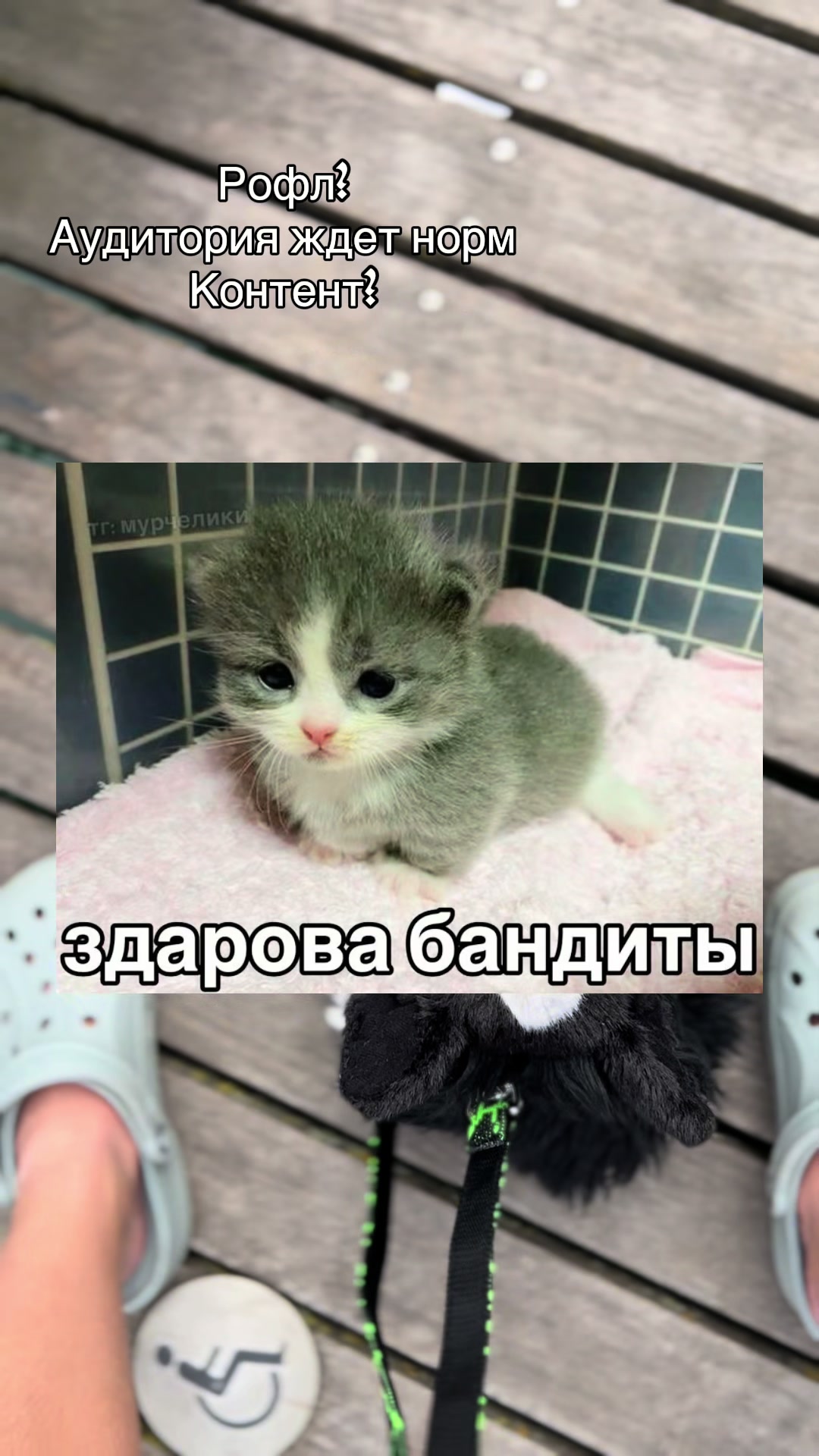 @🎈»𝔘𝔖𝔬𝔪𝔢𝔩_ESAS!⛓(Пдб)«🎂