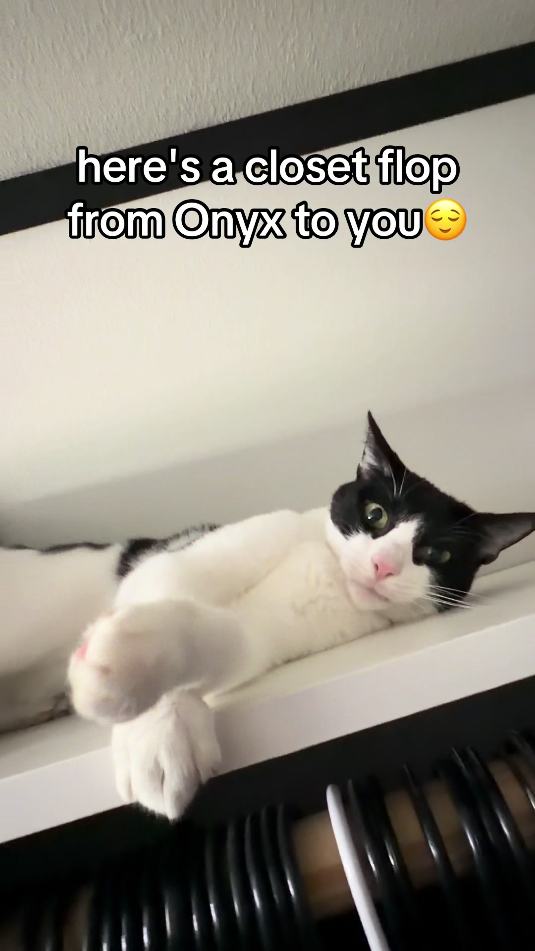 @Arlo🐺