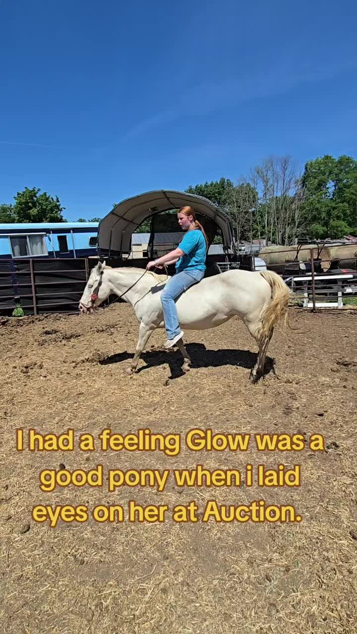 @Small Town Farm LLC