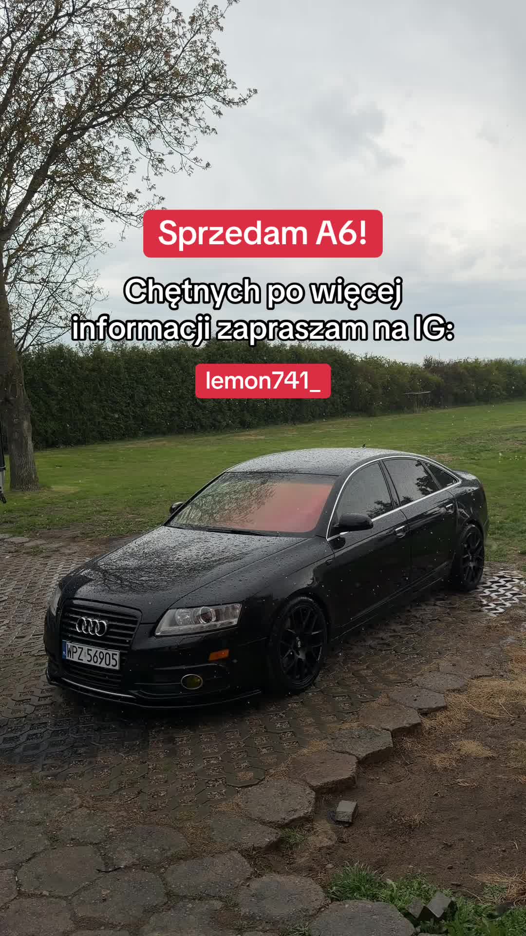 @Lemon